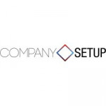 Company Setup Consultants profile picture