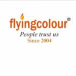 Flyingcolour Business setup Profile Picture