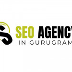 seo agency in gurugram Profile Picture