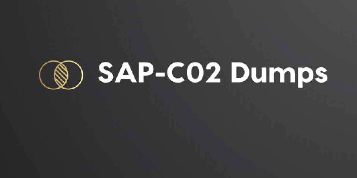 Top 10 Trusted Sources for SAP-C02 Exam Dumps