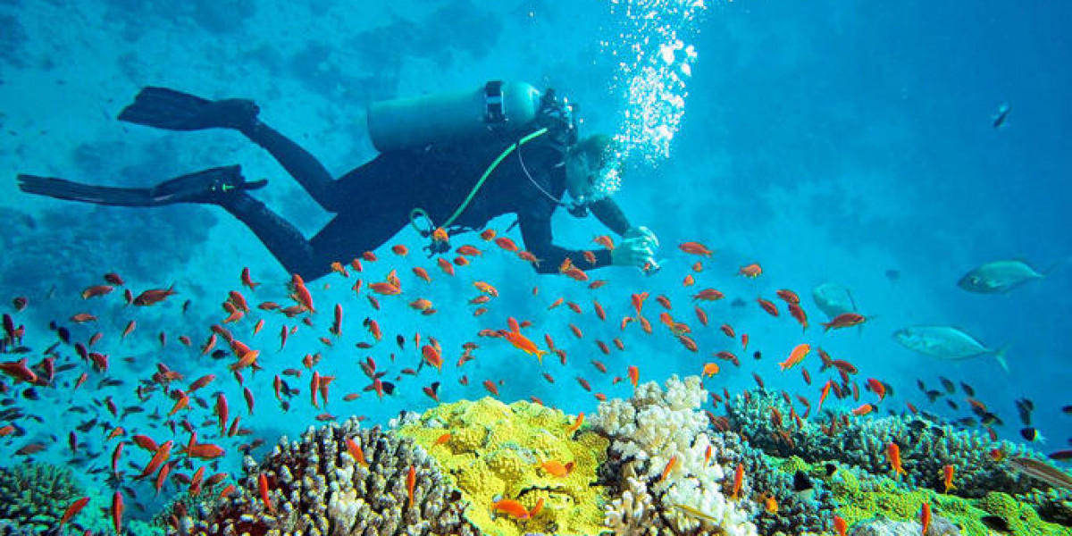 All about Scuba Diving in Andaman