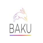 BAKU SOLUTIONS Profile Picture