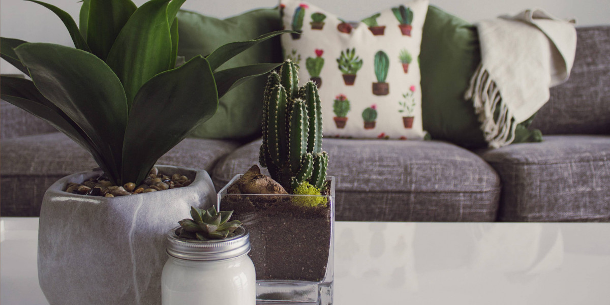 Trendy Plant Pot Ideas to Transform Your home