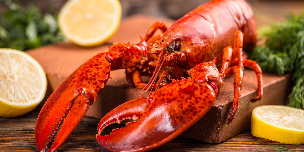 Lobster Market Outlook, Industry Share, Leading Players and Upcoming Trends 2024-2032