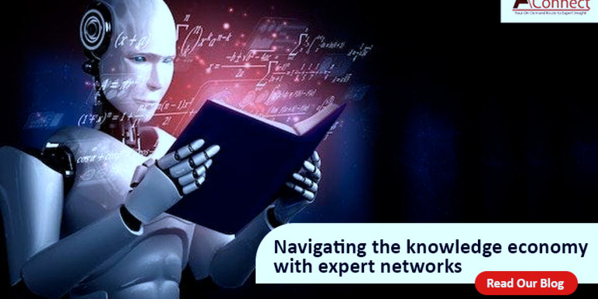 The Robust Role of Expert Networks in the Knowledge Economy