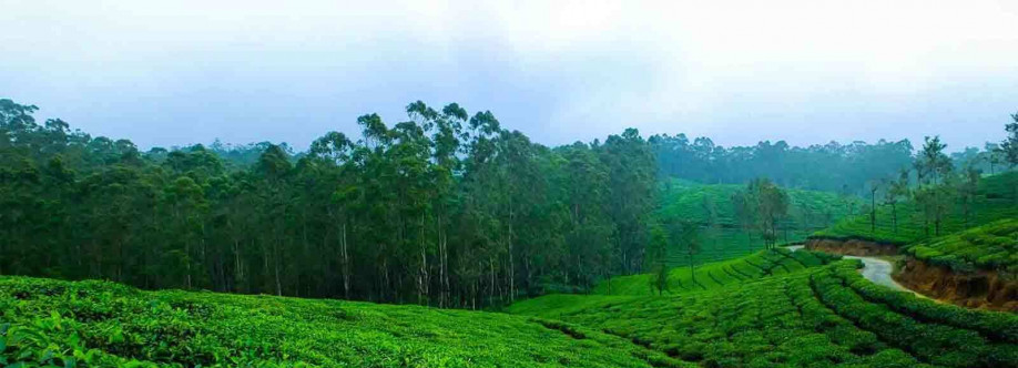 Ooty Kodai Tour Packages India Cover Image