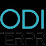 Modish Enterprises Profile Picture