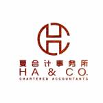 HACO Chartered Accountants Profile Picture