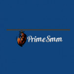 PrimeSMM _ Profile Picture