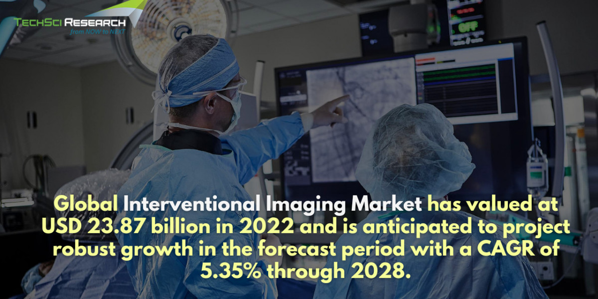 Interventional Imaging Market: Unveiling Competition, Size, and Robust Growth Prospects Through 2028