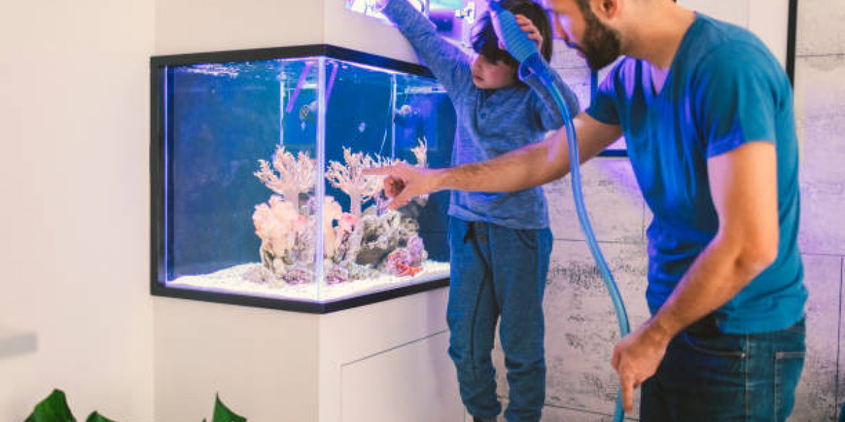 Elevate Your Reef Tank Experience: Essential Coral Care Tips