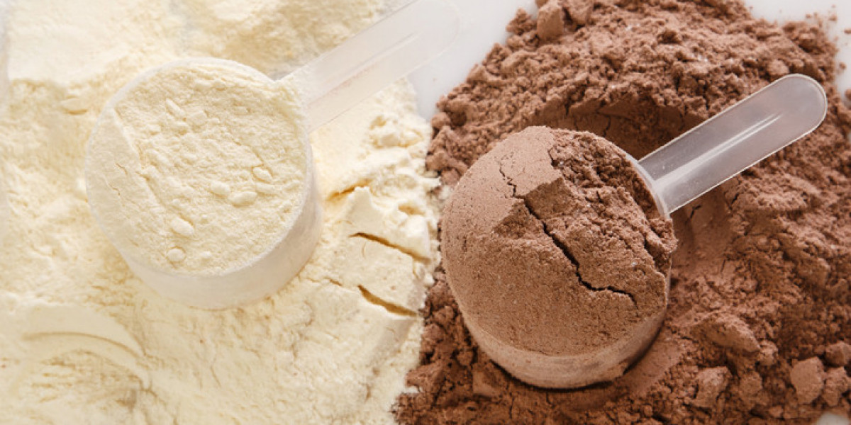 Protein Powder Manufacturing Plant Project Report 2024: Machinery, Raw Materials, Cost and Requirements