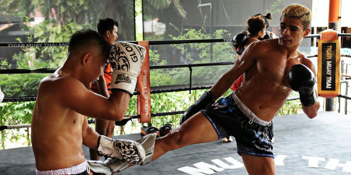 Dominating the Ring: How Twins Muay Thai Takes Fighting to the Next Level