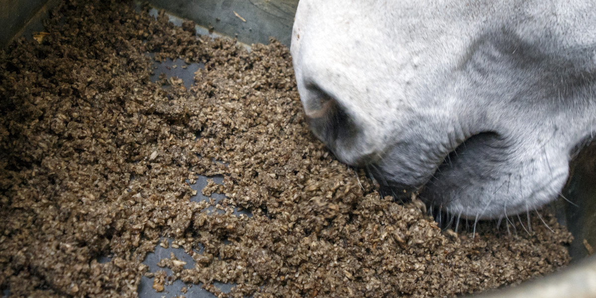 Understanding the Importance of Paardenvoer in Equine Nutrition