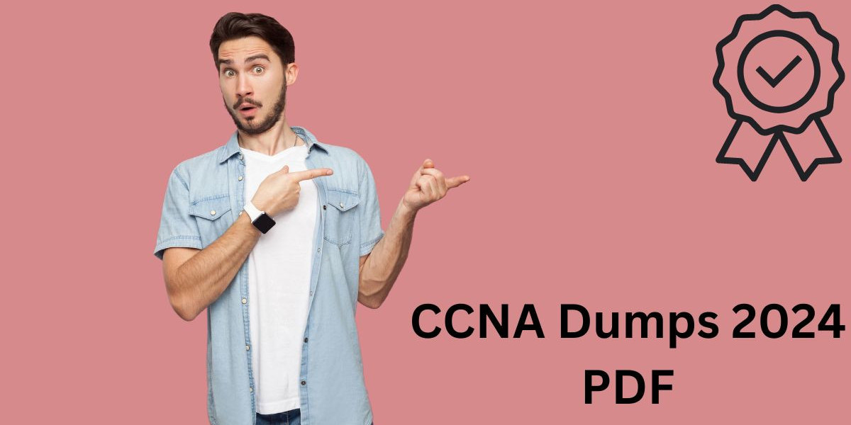 How to Choose the Best CCNA Dumps 2024 PDF Available