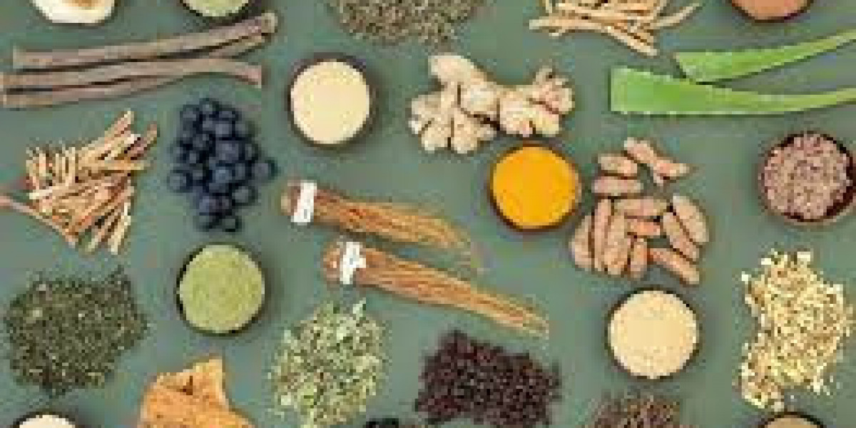 Adaptogens Market Major Key Players and Industry Analysis