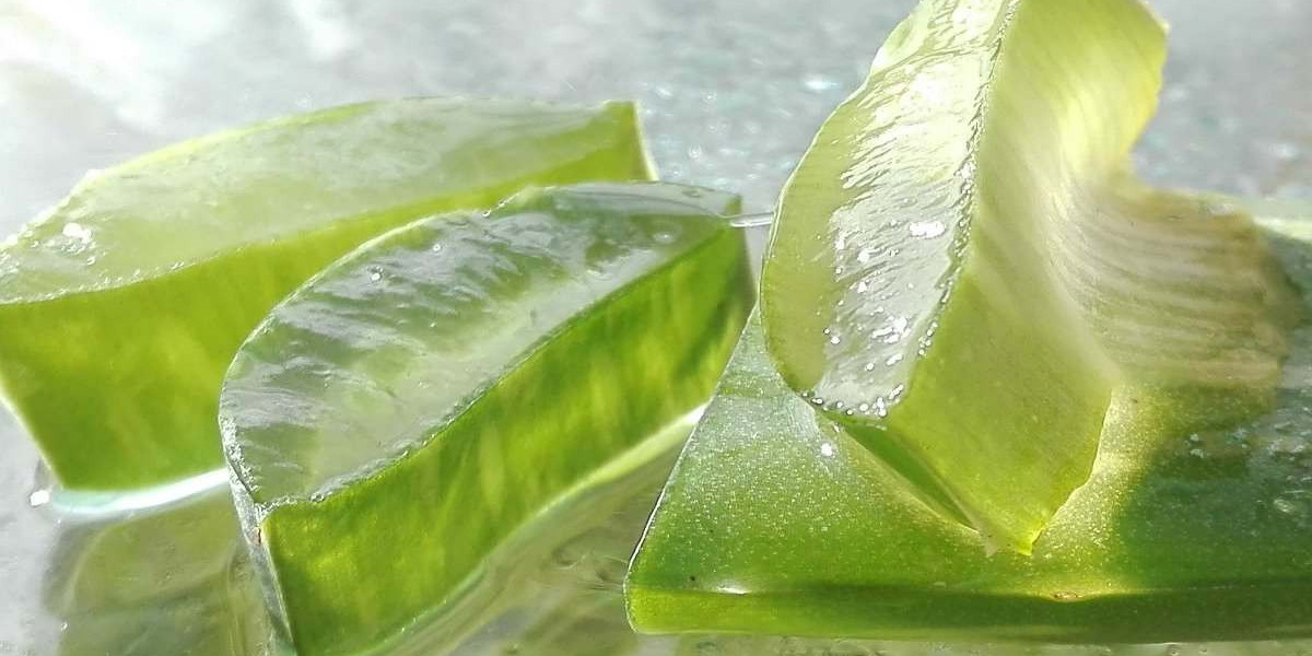 Aloe Vera Gel Manufacturing Plant Project Report 2024: Materials Cost, Setup Details and Requirements