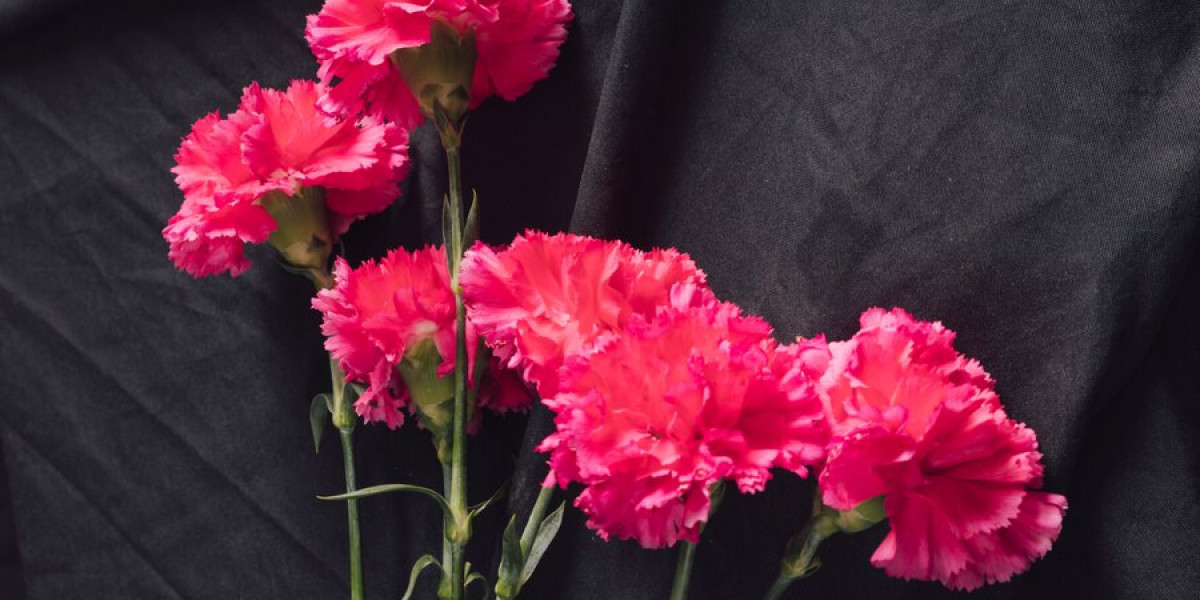 Bulk Carnations at Wholesale Prices: Enhance Your Events and Decor