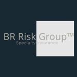 BR Risk Group Profile Picture