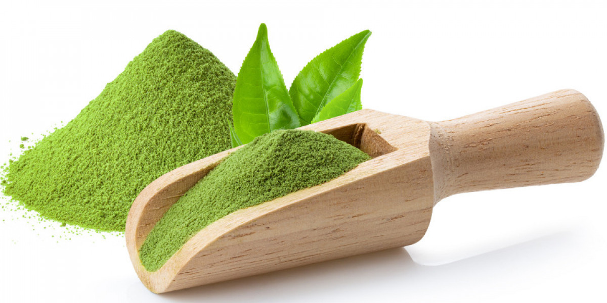Green Tea Powder Manufacturing Plant Cost Report 2024: Setup Details, Capital Investments and Expenses