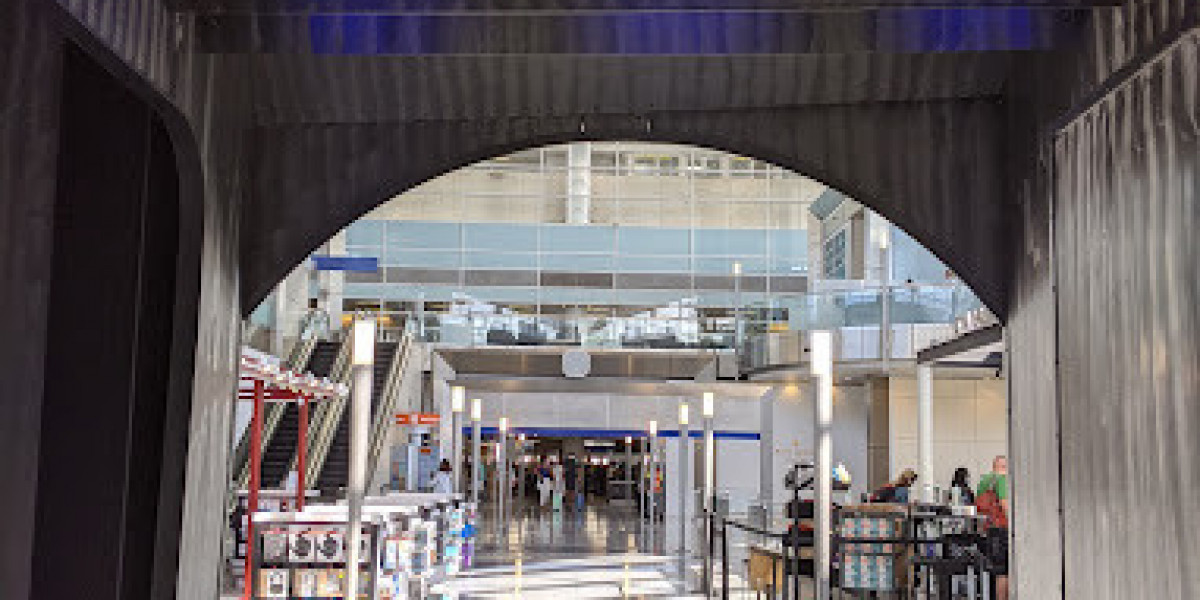 Pet Relief Areas and Services at Turkish Airlines Terminal DFW