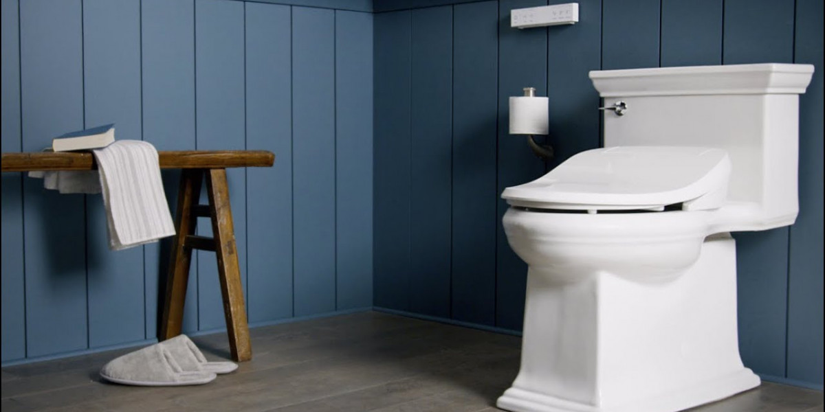 Bidet Seat Market will grow at highest pace owing to increasing health awareness