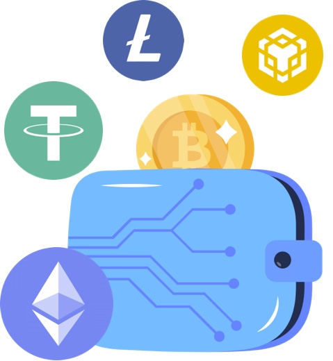 Blockchain Wallet Development Services | Debut Infotech