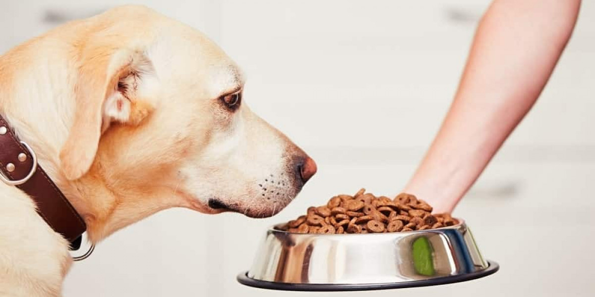The Growing Pet Food Bowl Market is driven by rising pet ownership