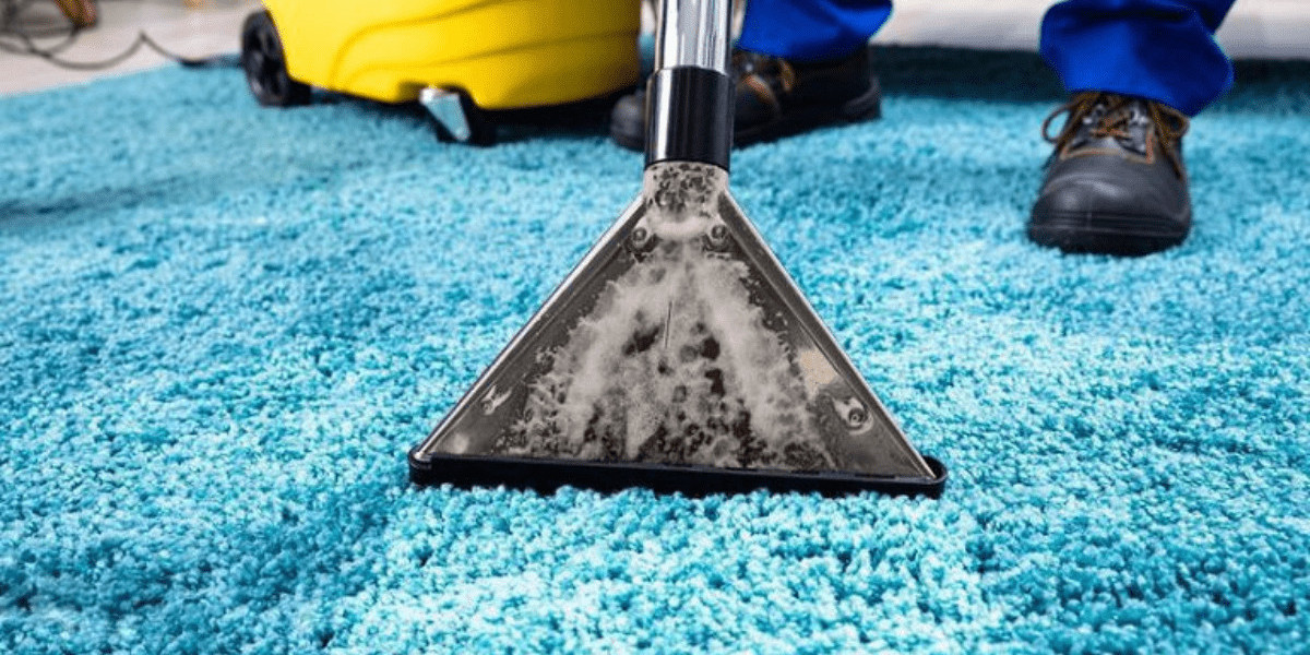 Why Regular Professional Carpet Cleaning Is Important