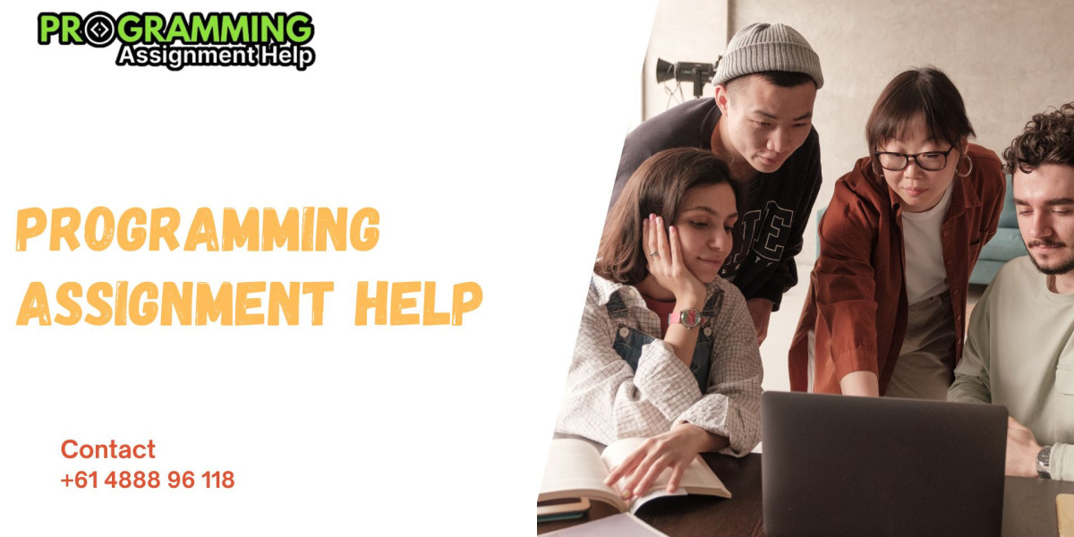 How Programming Assignment Help Ensures Your Academic Success