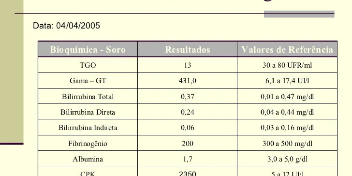 Desvendando o CHCM Canino: O Que Todo Tutor de Cão Precisa Saber!