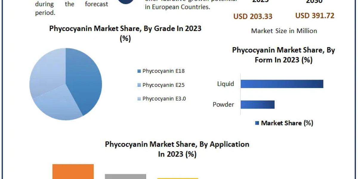 Phycocyanin Market Trade Overview, Scope, Principal Influences, and Future Projections