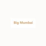 Big Mumbai Profile Picture