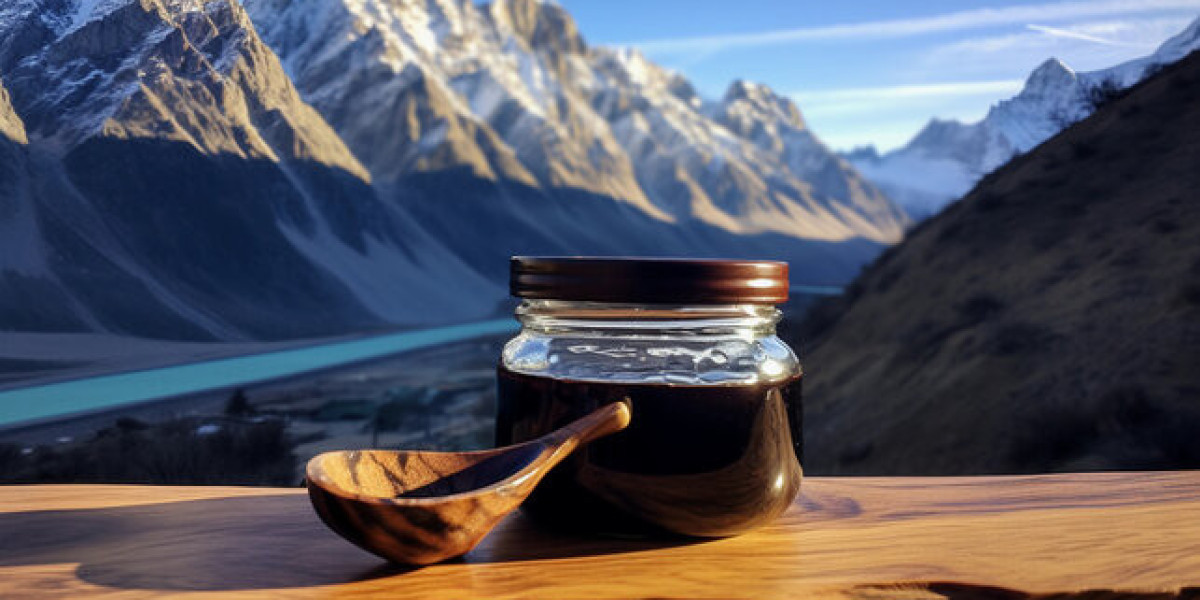 The Healing Power of Himalayan Shilajit Enhance Your Well-Being Naturally