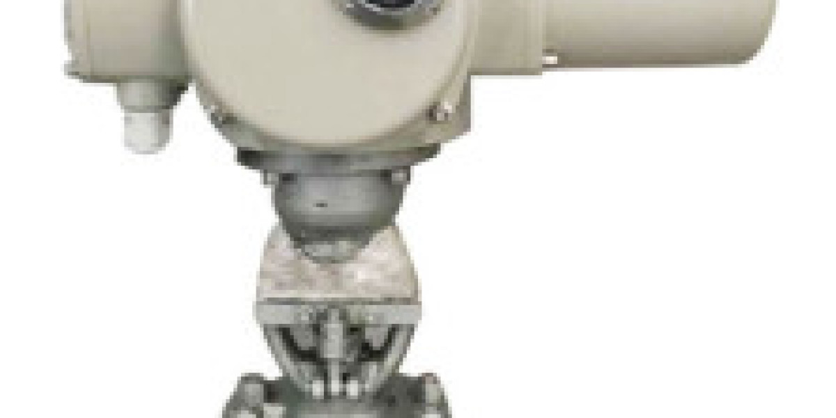 Electric Actuated Globe Valve supplier in brazil