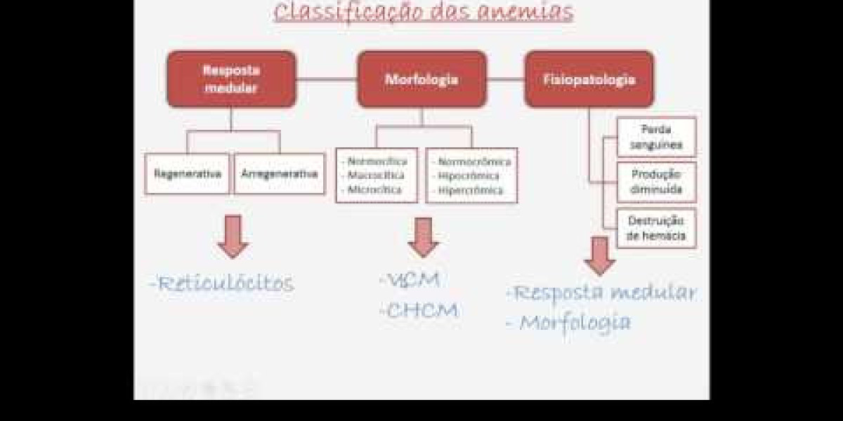 Radiología veterinaria: Rayos X para mascotas