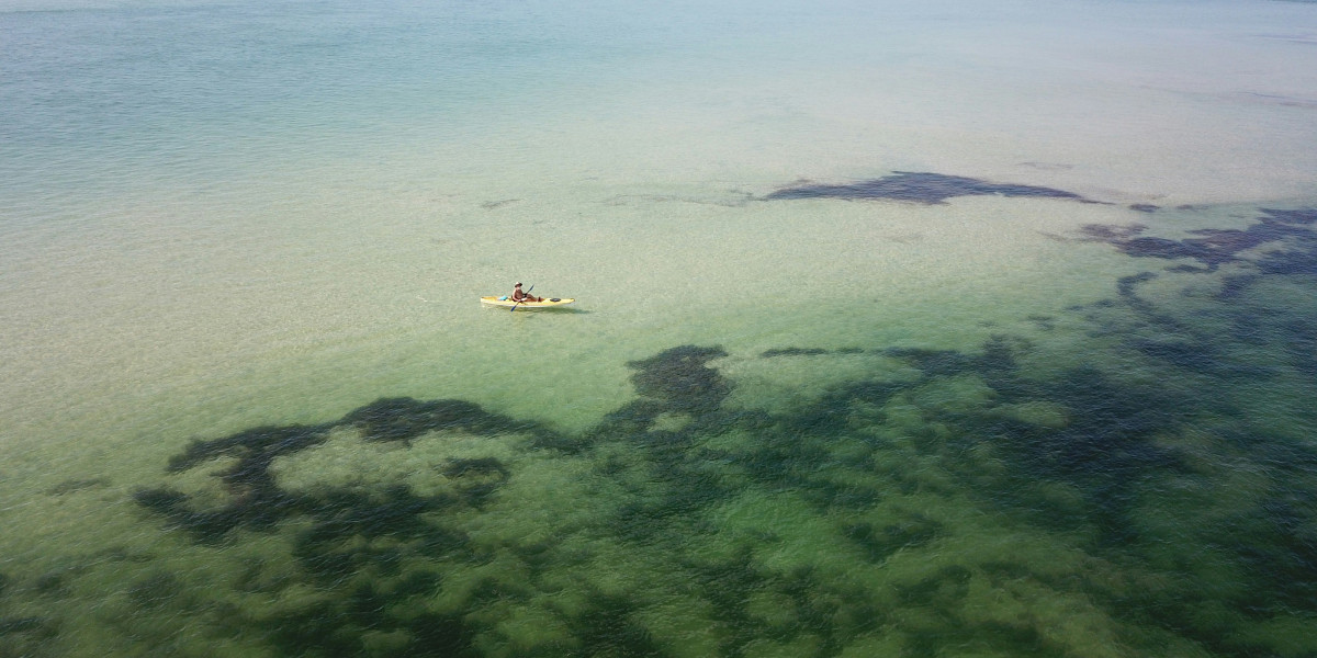 Tandem Kayaking - From Beginner Tips to Advanced Techniques