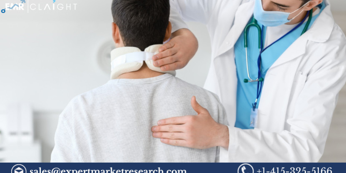 Global Spinal Cord Stimulation Market Size, Share, Trends, Growth, Analysis, Report and Forecast 2024-2032