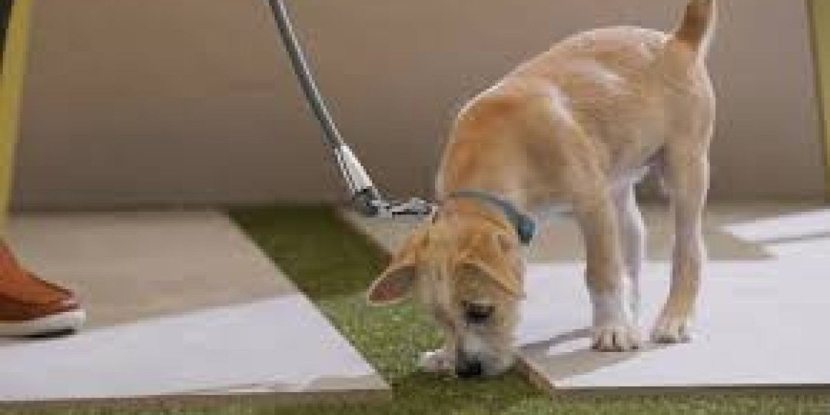 The Ultimate Guide to Choosing a Dog Potty Training Service