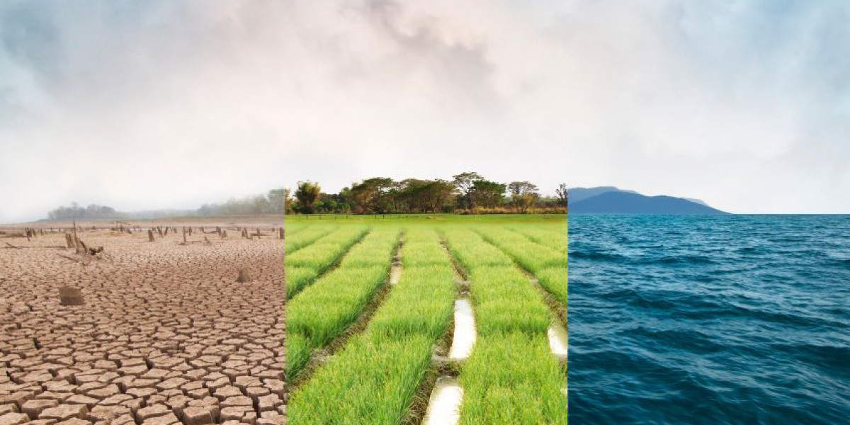 The Role of Environmental Consulting in Malaysia's Climate Adaptation