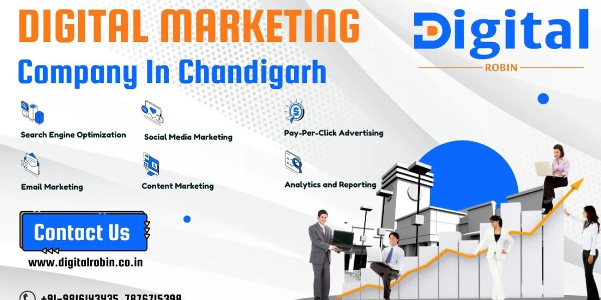 Why Is A Digital Marketing Agency In Chandigarh The Best Choice For Your Business?