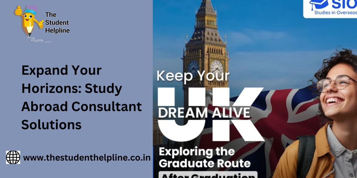 Expand Your Horizons: Study Abroad Consultant Solutions