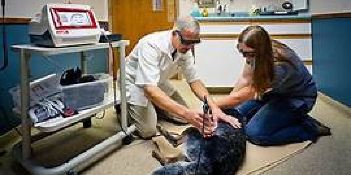 Global Veterinary Pain Management Market Size, Share, Analysis and Forecast 2021 – 2030.