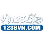 123b vninfo profile picture