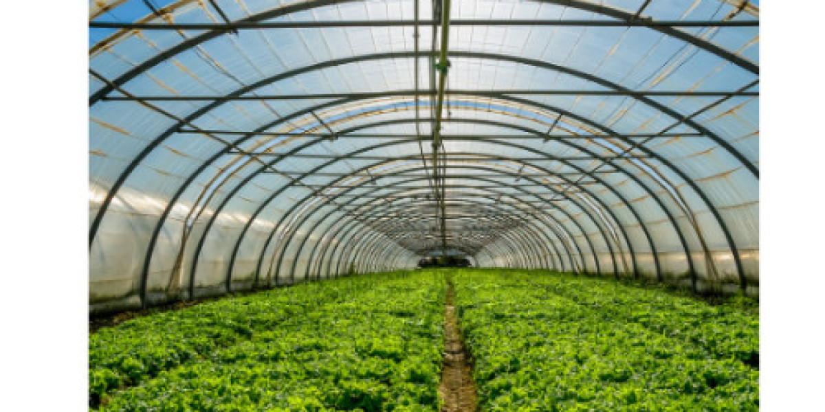 The Essential Role of Greenhouse Plastics in Modern Agriculture