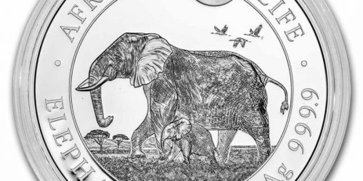 Discover Rare and Certified Coins at The Coin Shoppe