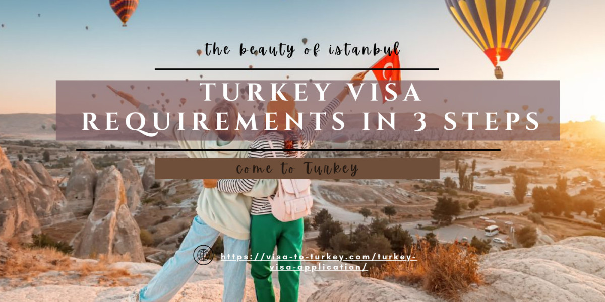 Turkey Visa Requirements in 3 Steps