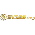 sv368 fans profile picture