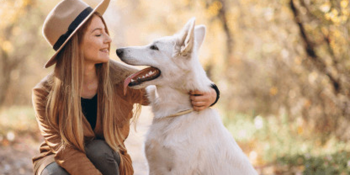 Discover the Best Dog Daycare in Chicago for Happy Pups