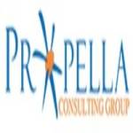 Propella Consulting Group Profile Picture